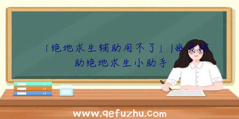 「绝地求生辅助用不了」|幽灵辅助绝地求生小助手